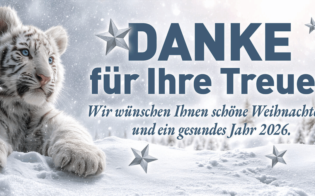 Das alte Jahr vergeht – ein neues Jahr entsteht …